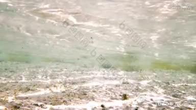 水下拍摄的阳光照射的沙子地面与水草阳光通过清澈的波浪海